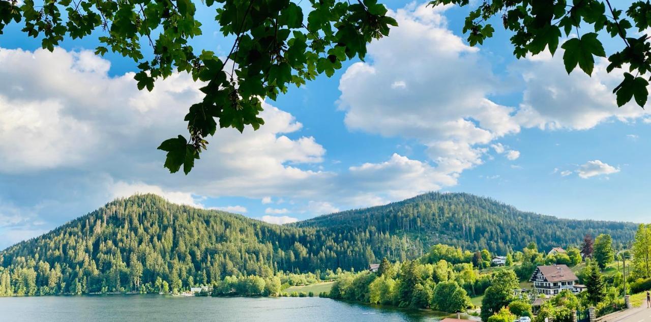 Le Chalet Au Bord Du Lac Gérardmer Esterno foto